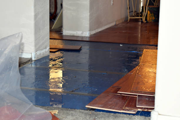 Professional Burst Pipe Cleanup technician working in Plainview, NY